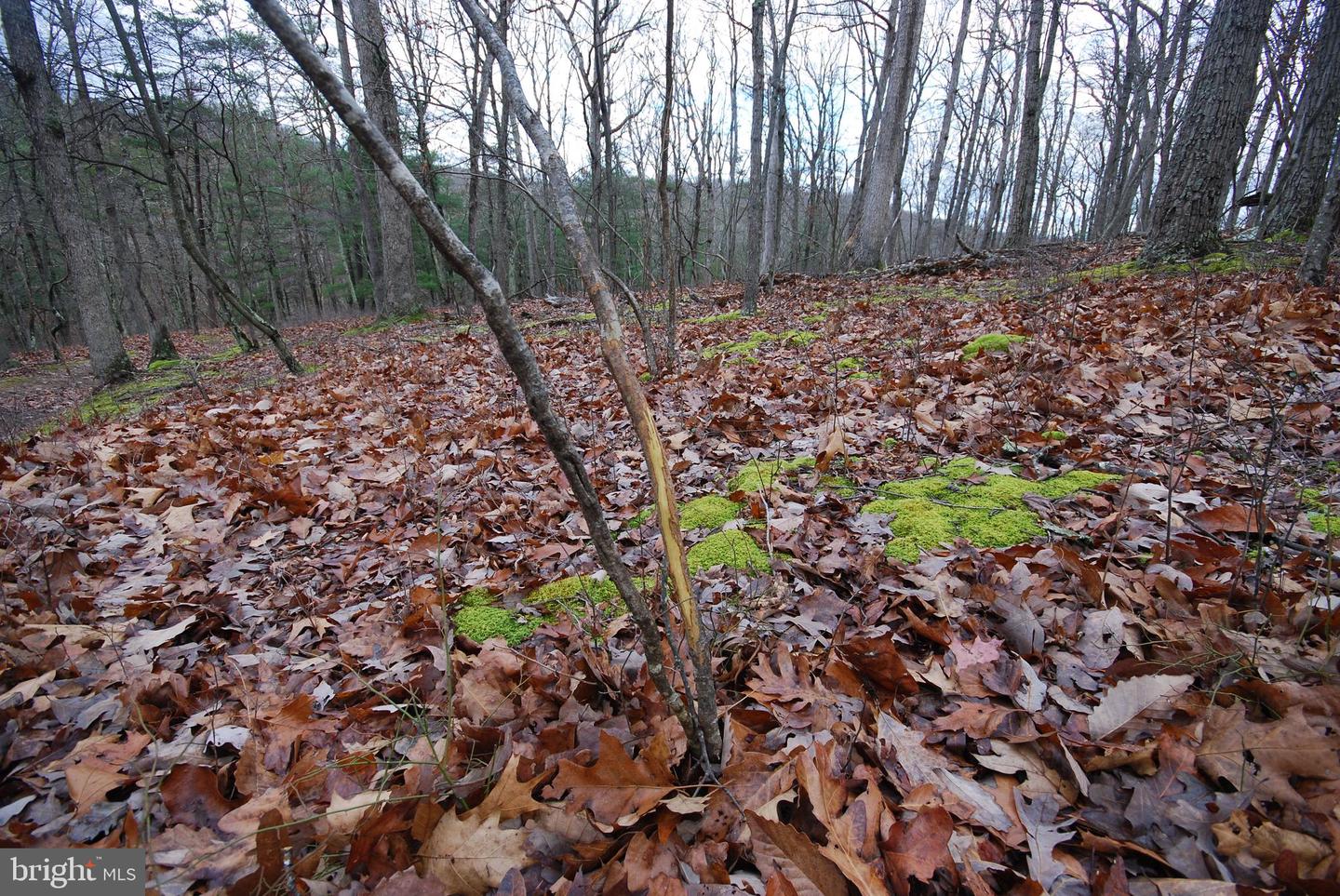 Lot 70 & 71 Mill Mountain Rd Property Photo 39