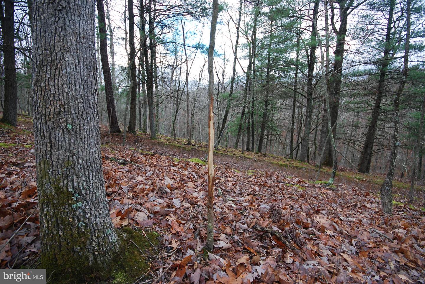 Lot 70 & 71 Mill Mountain Rd Property Photo 40