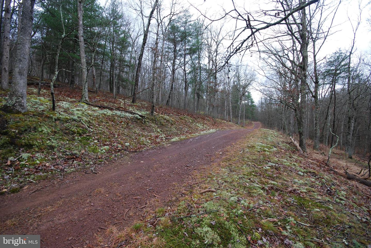 Lot 70 & 71 Mill Mountain Rd Property Photo 42
