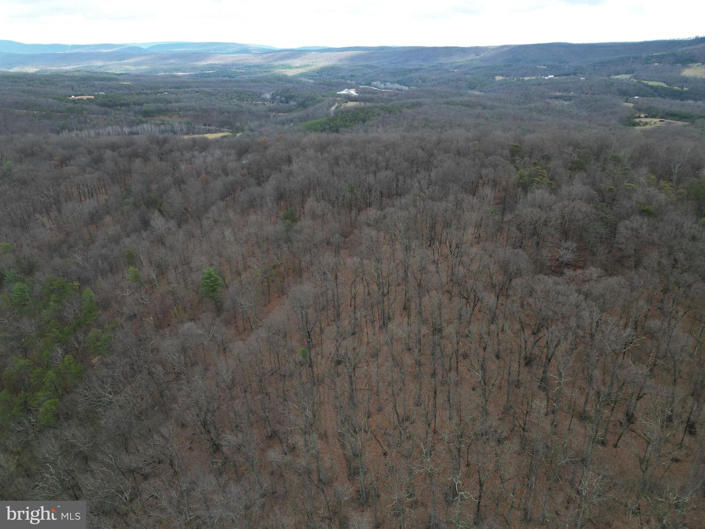 Lot 70 & 71 Mill Mountain Rd Property Photo 51