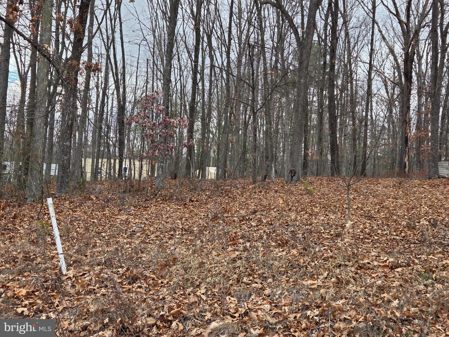 Lot 37 Sherman Dr Property Photo 8