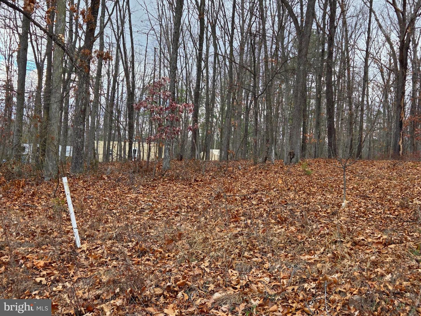Lot 37 Sherman Dr Property Photo 9