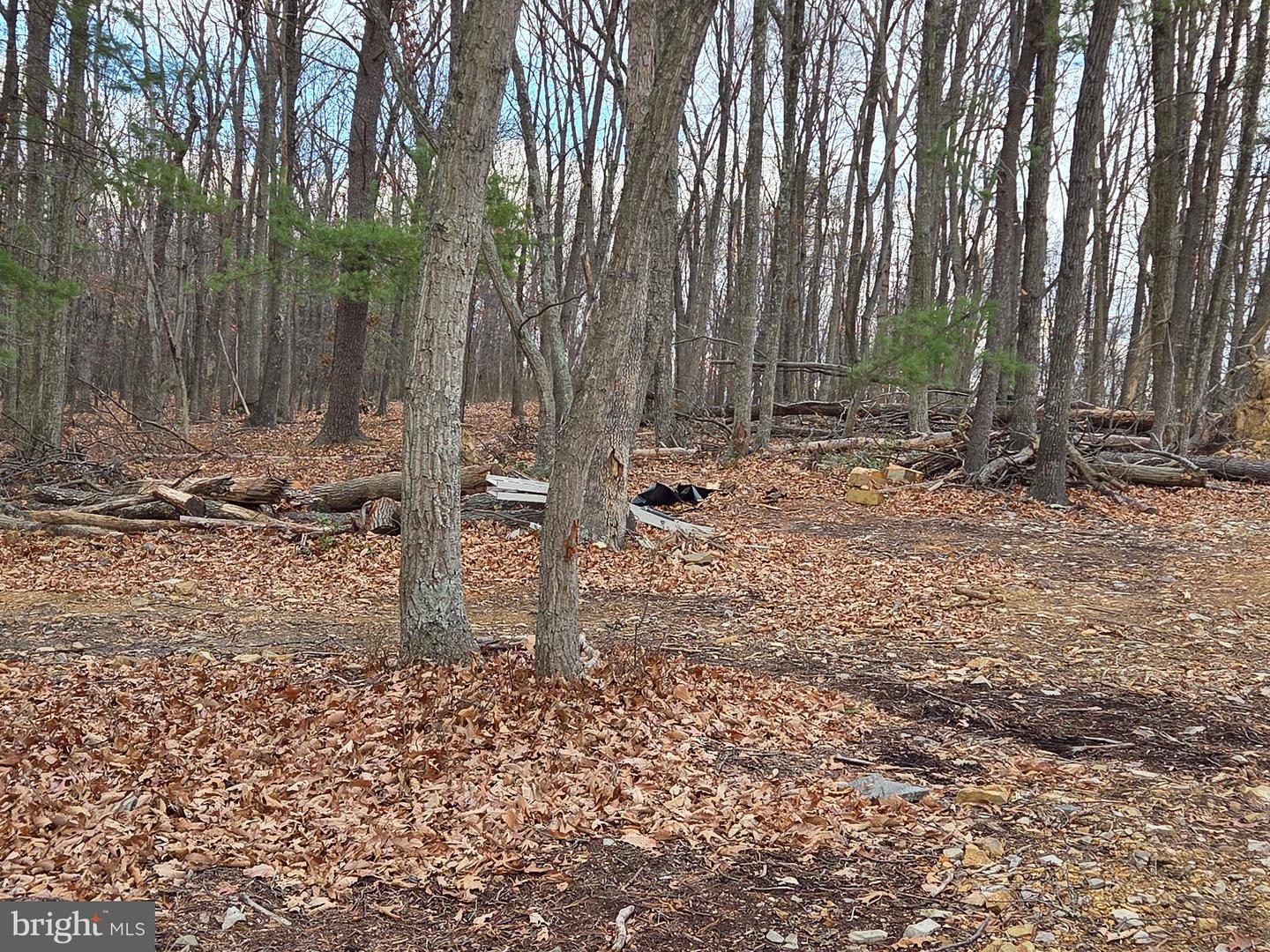 Lot 37 Sherman Dr Property Photo 15