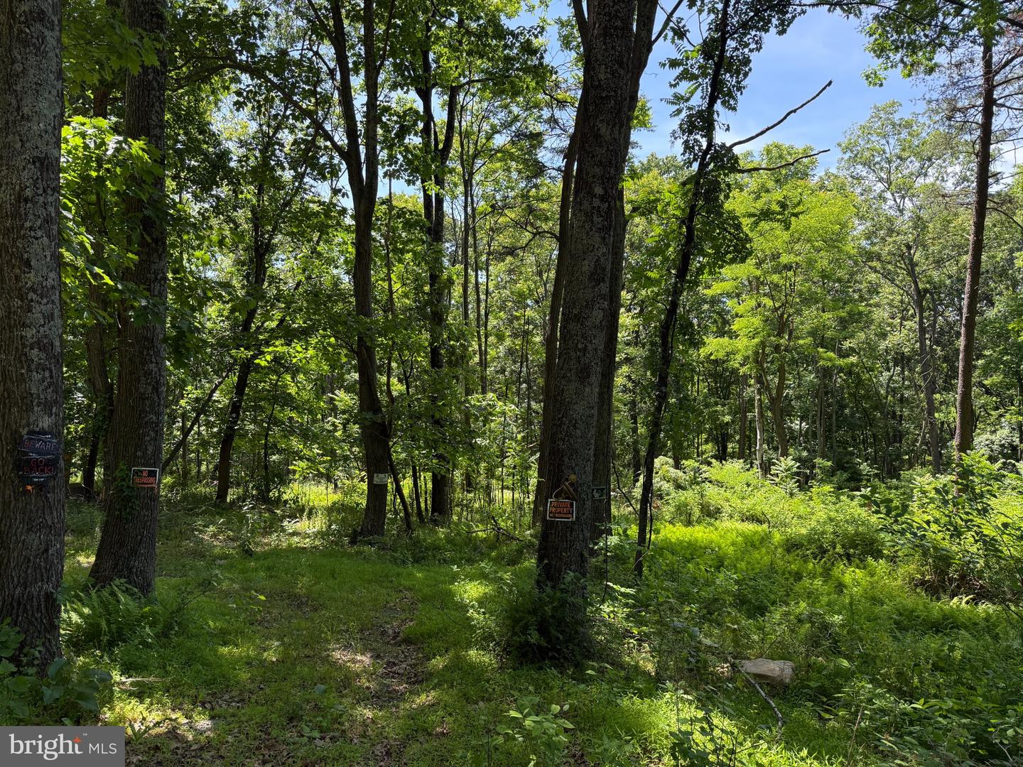 80 Cabin Road Property Photo 1