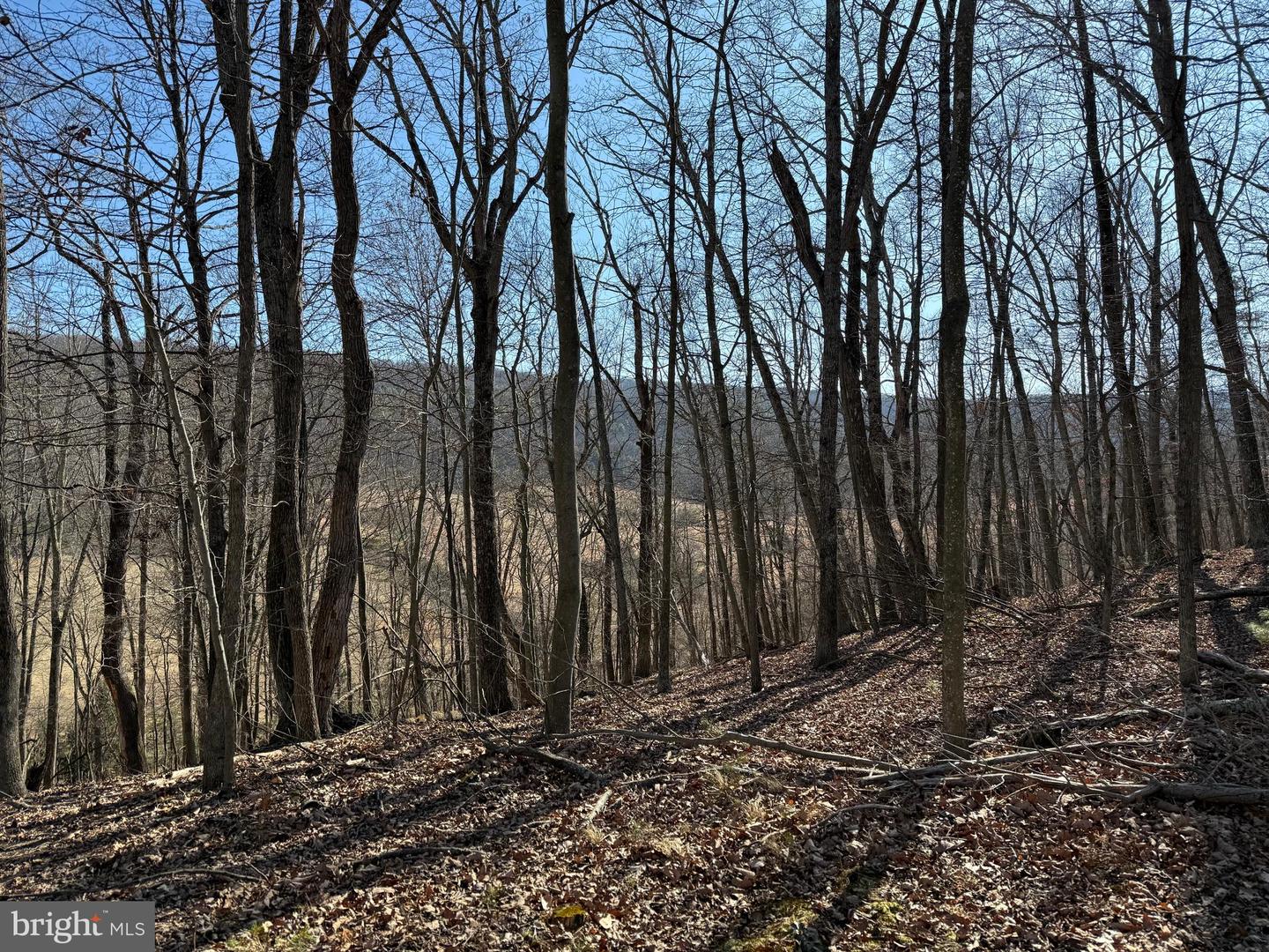 Lot 7 & 8 Ritters Hidden Valley Property Photo 1