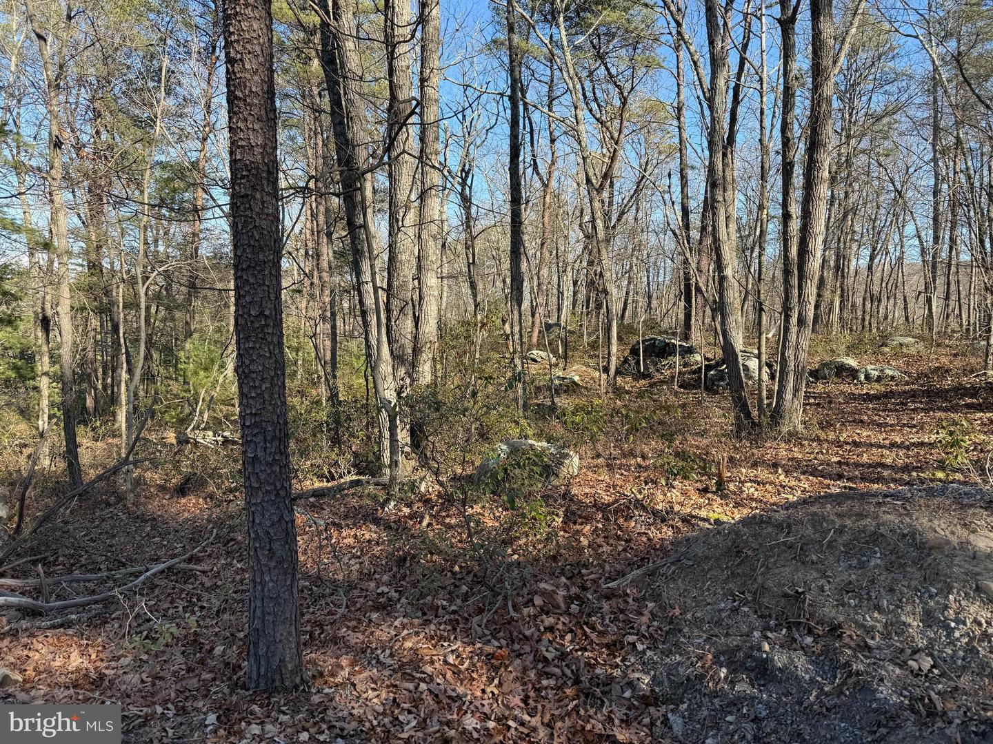 Lot 7 & 8 Ritters Hidden Valley Property Photo 3
