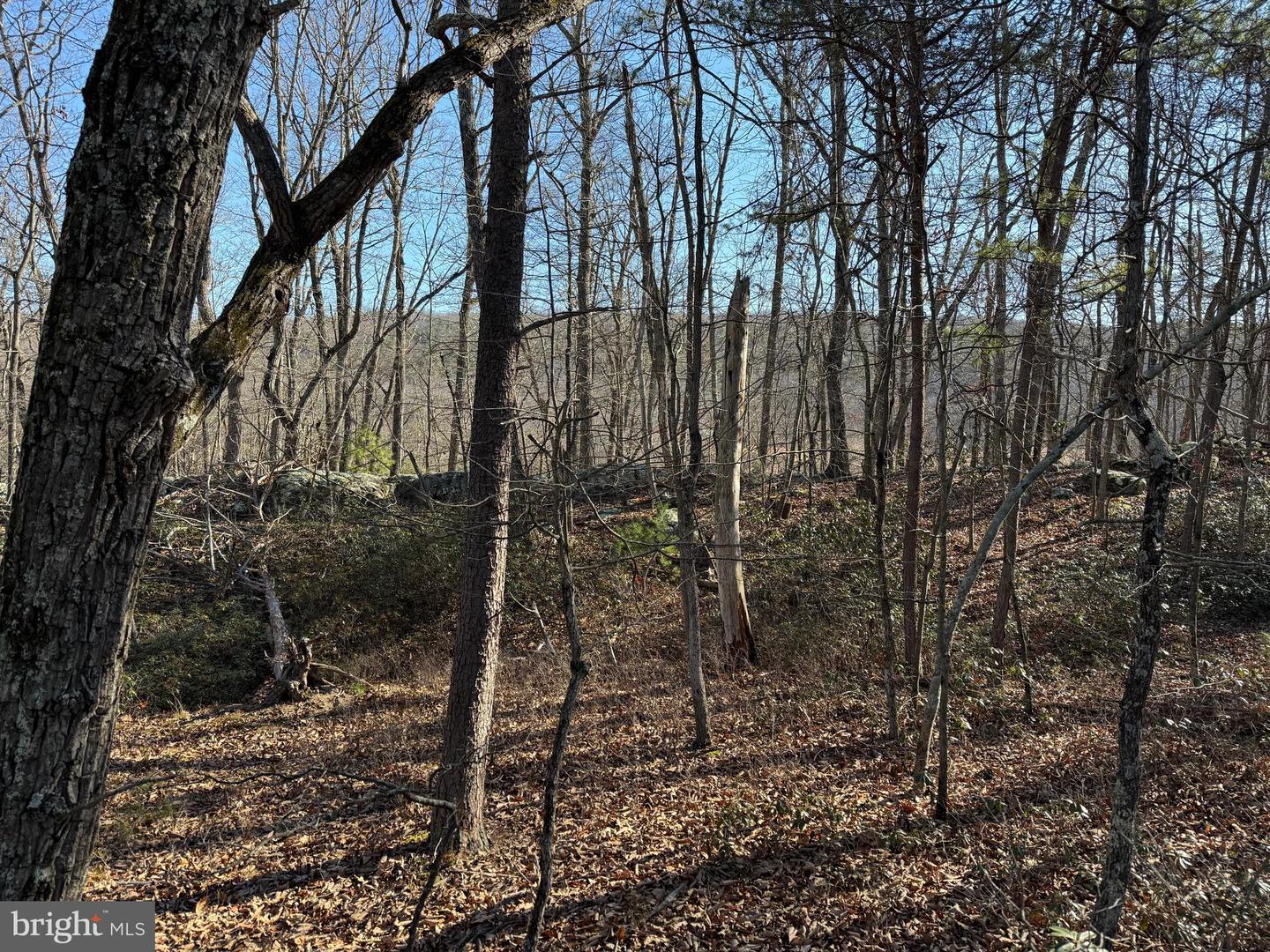 Lot 7 & 8 Ritters Hidden Valley Property Photo 4