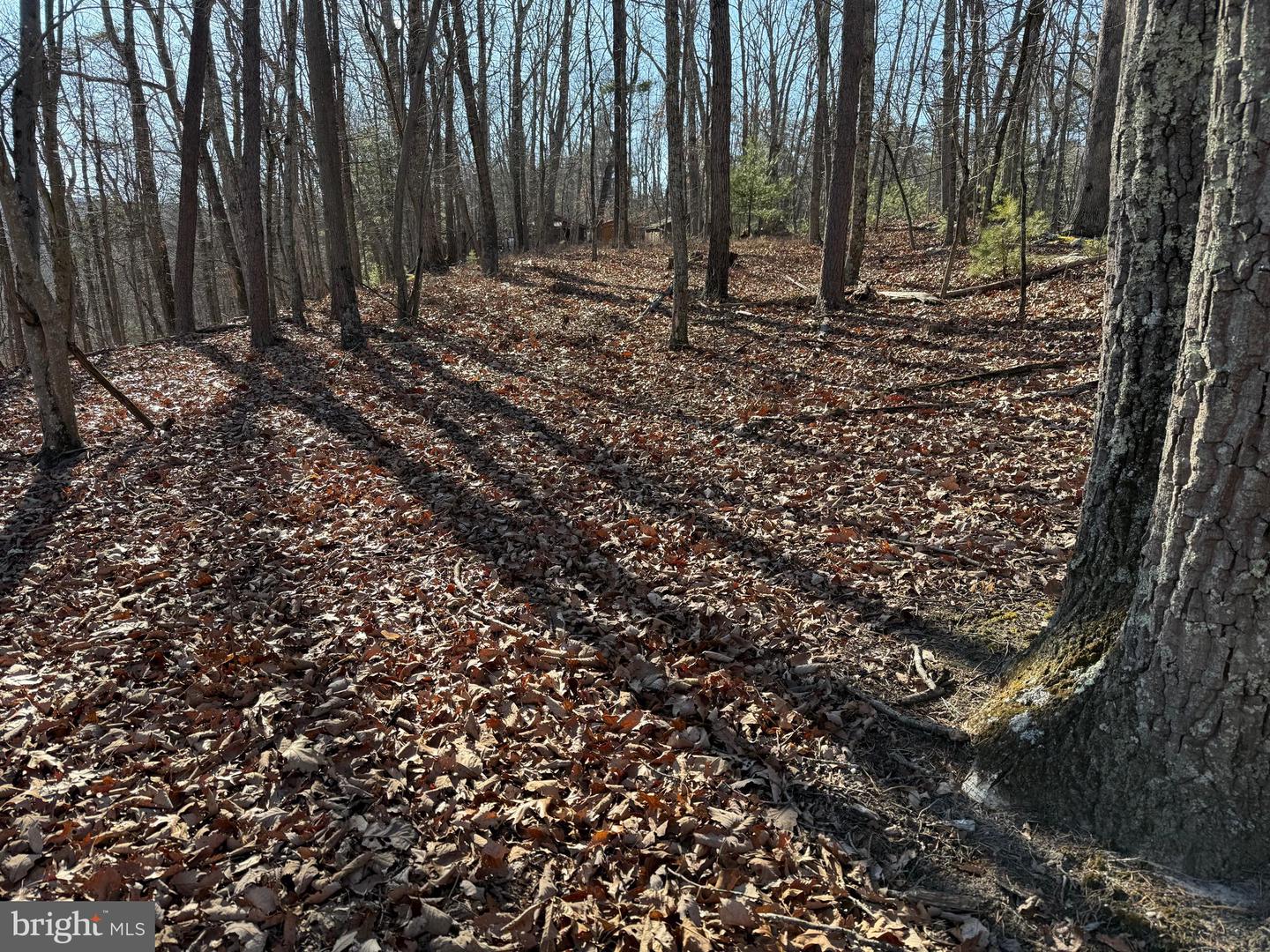 Lot 7 & 8 Ritters Hidden Valley Property Photo 5