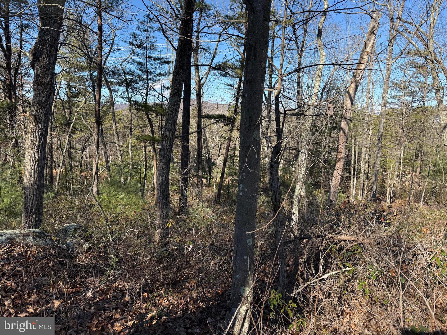 Lot 7 & 8 Ritters Hidden Valley Property Photo 6