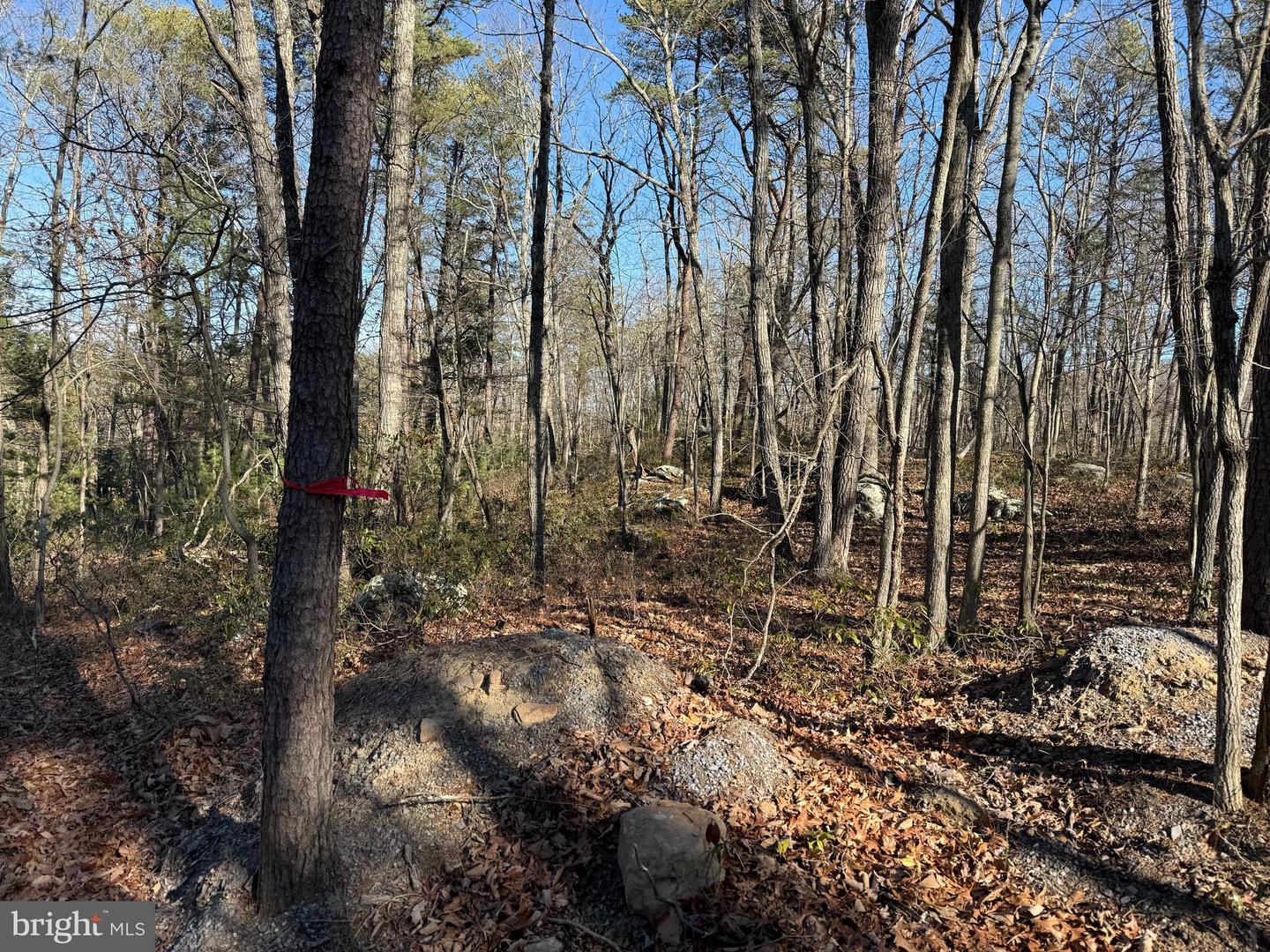 Lot 7 & 8 Ritters Hidden Valley Property Photo 11