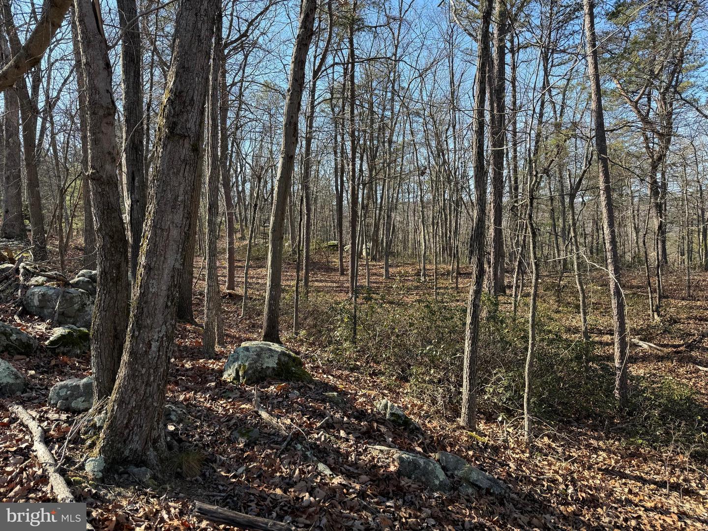 Lot 7 & 8 Ritters Hidden Valley Property Photo 12