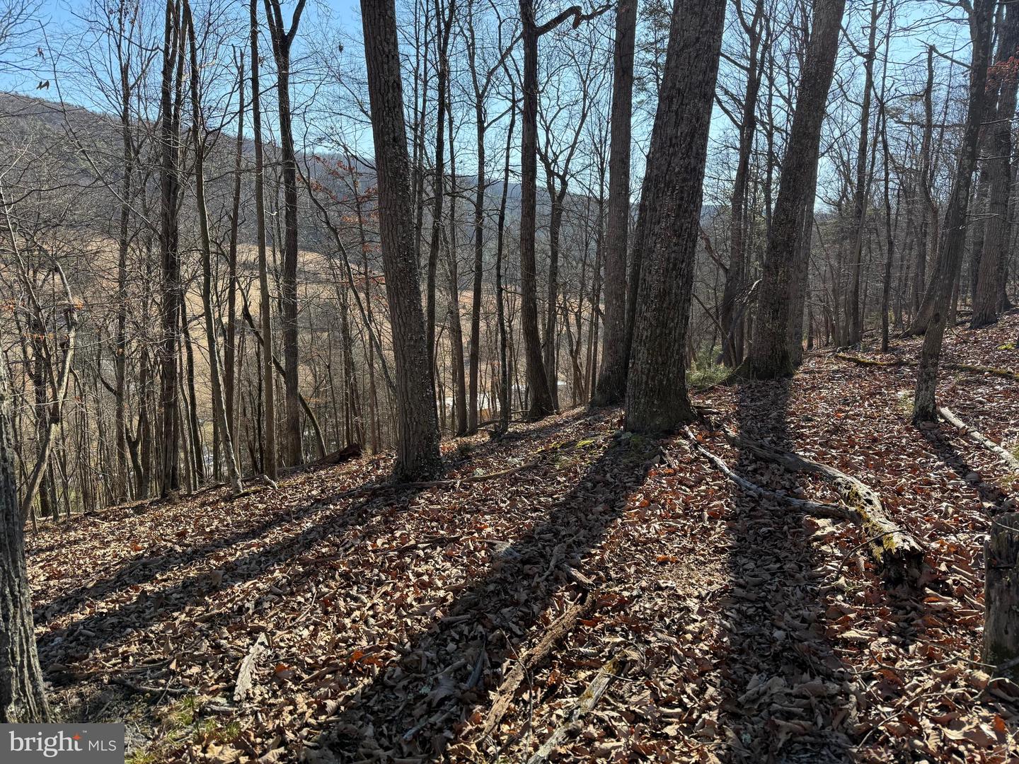 Lot 7 & 8 Ritters Hidden Valley Property Photo 14