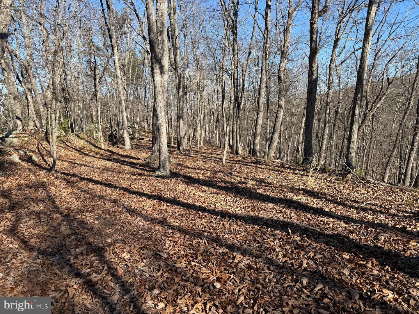 Lot 7 & 8 Ritters Hidden Valley Property Photo 15