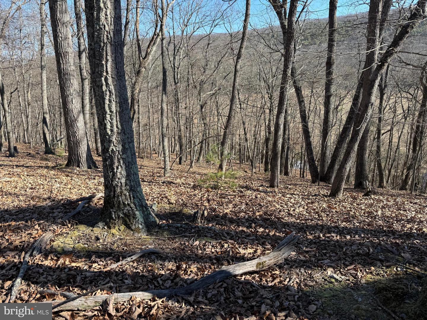 Lot 7 & 8 Ritters Hidden Valley Property Photo 16