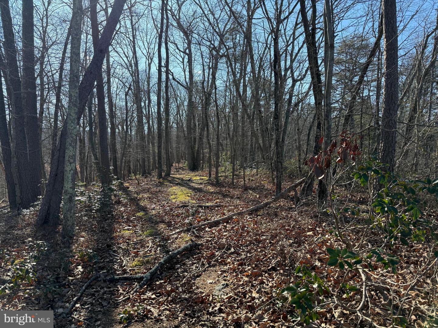 Lot 7 & 8 Ritters Hidden Valley Property Photo 17