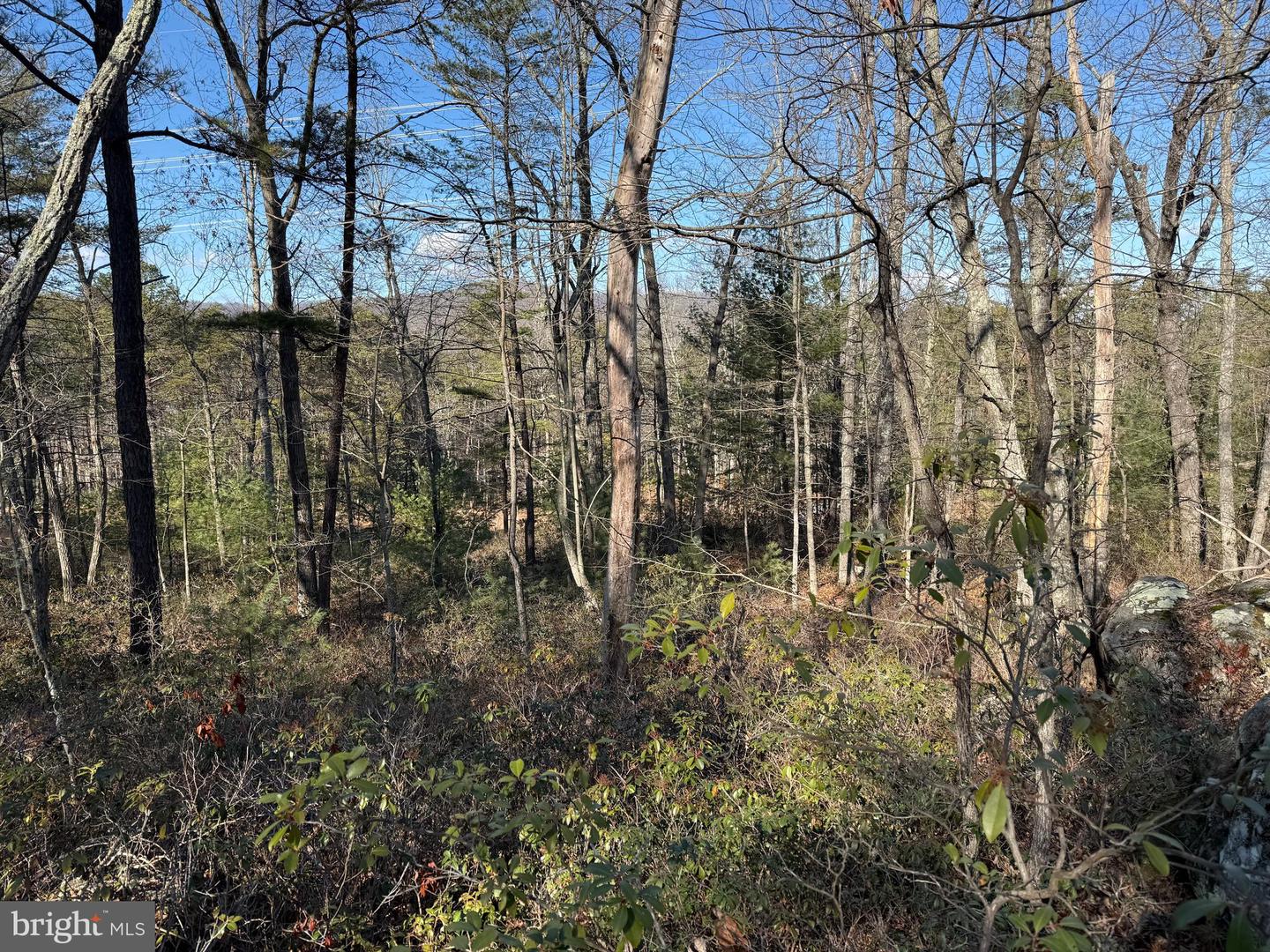 Lot 7 & 8 Ritters Hidden Valley Property Photo 22