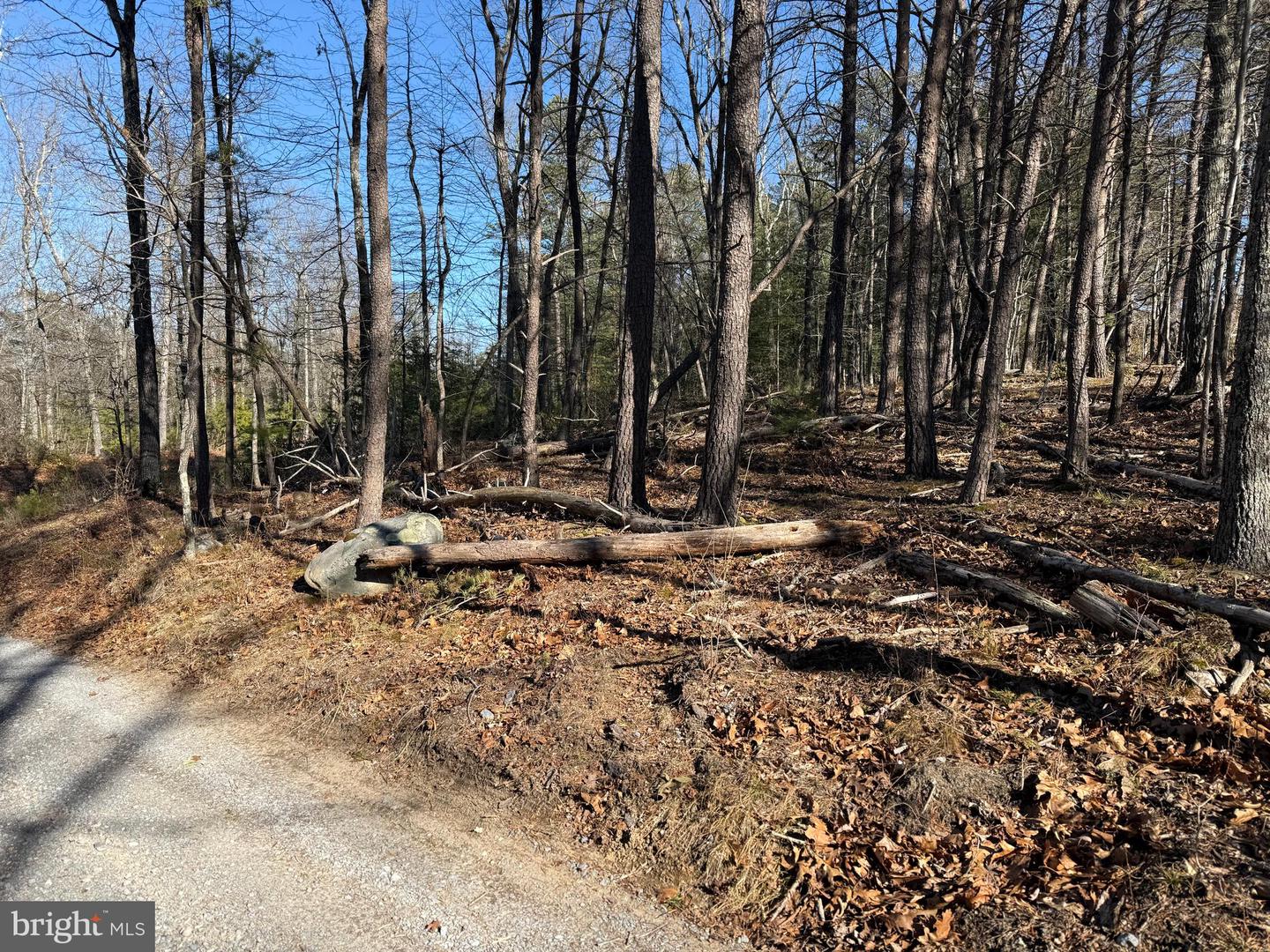 Lot 7 & 8 Ritters Hidden Valley Property Photo 24