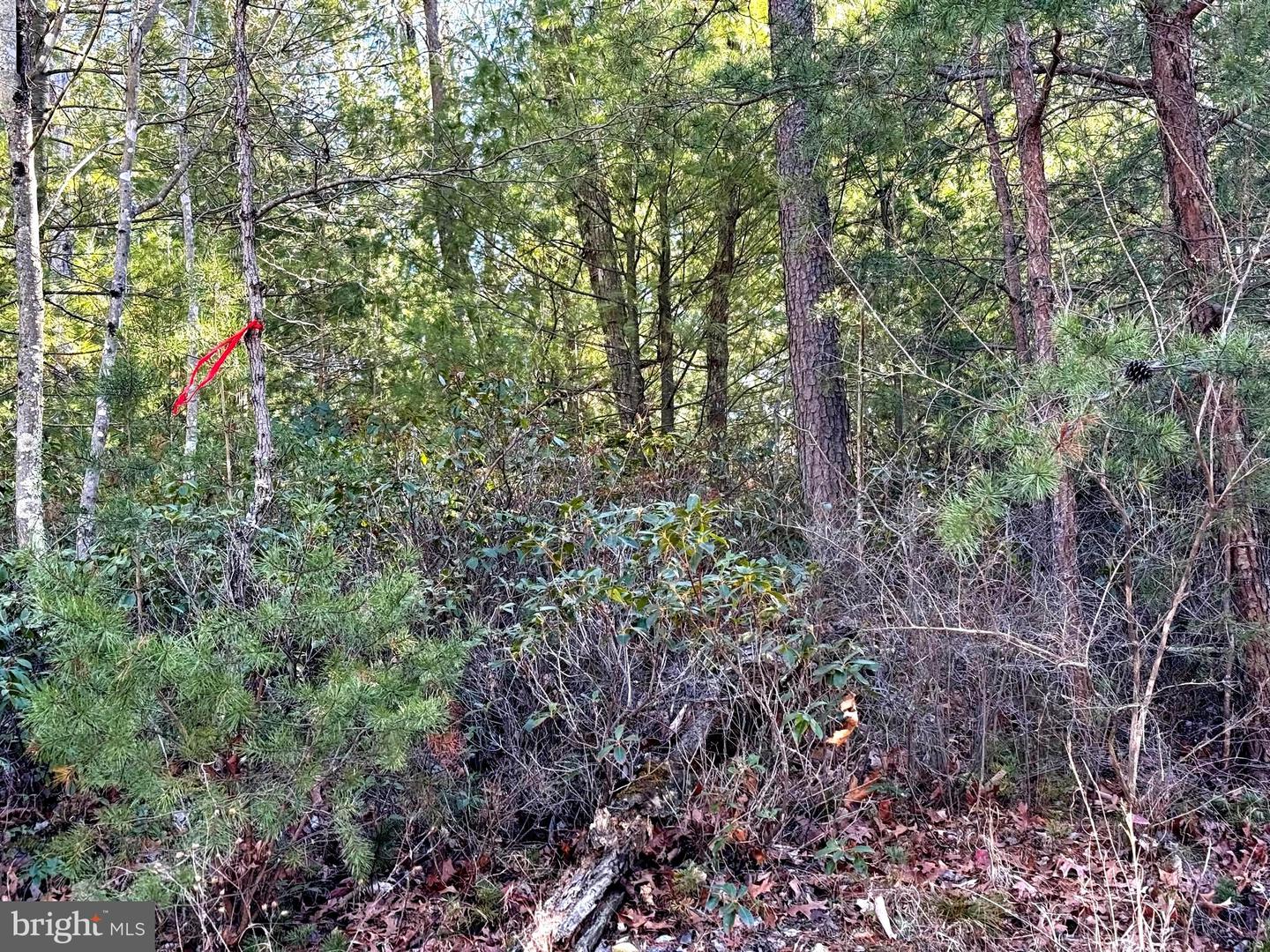 Lot 7 & 8 Ritters Hidden Valley Property Photo 26