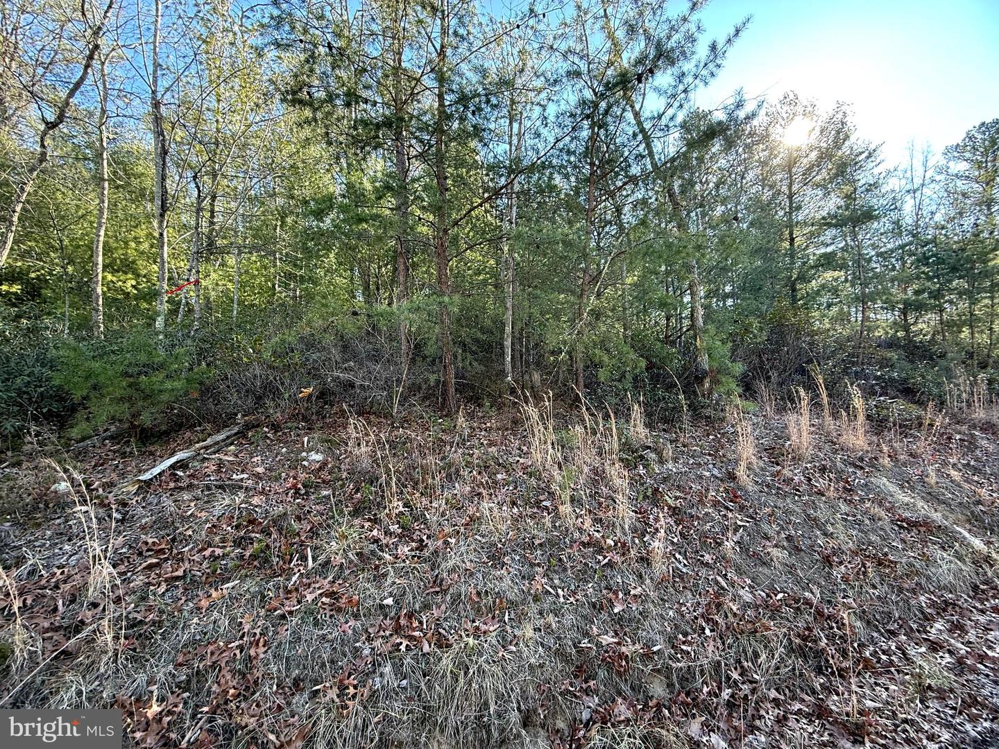 Lot 7 & 8 Ritters Hidden Valley Property Photo 27