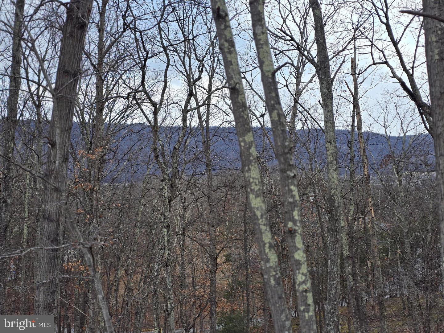 Lot 1 Cornwell Dr Property Photo 3