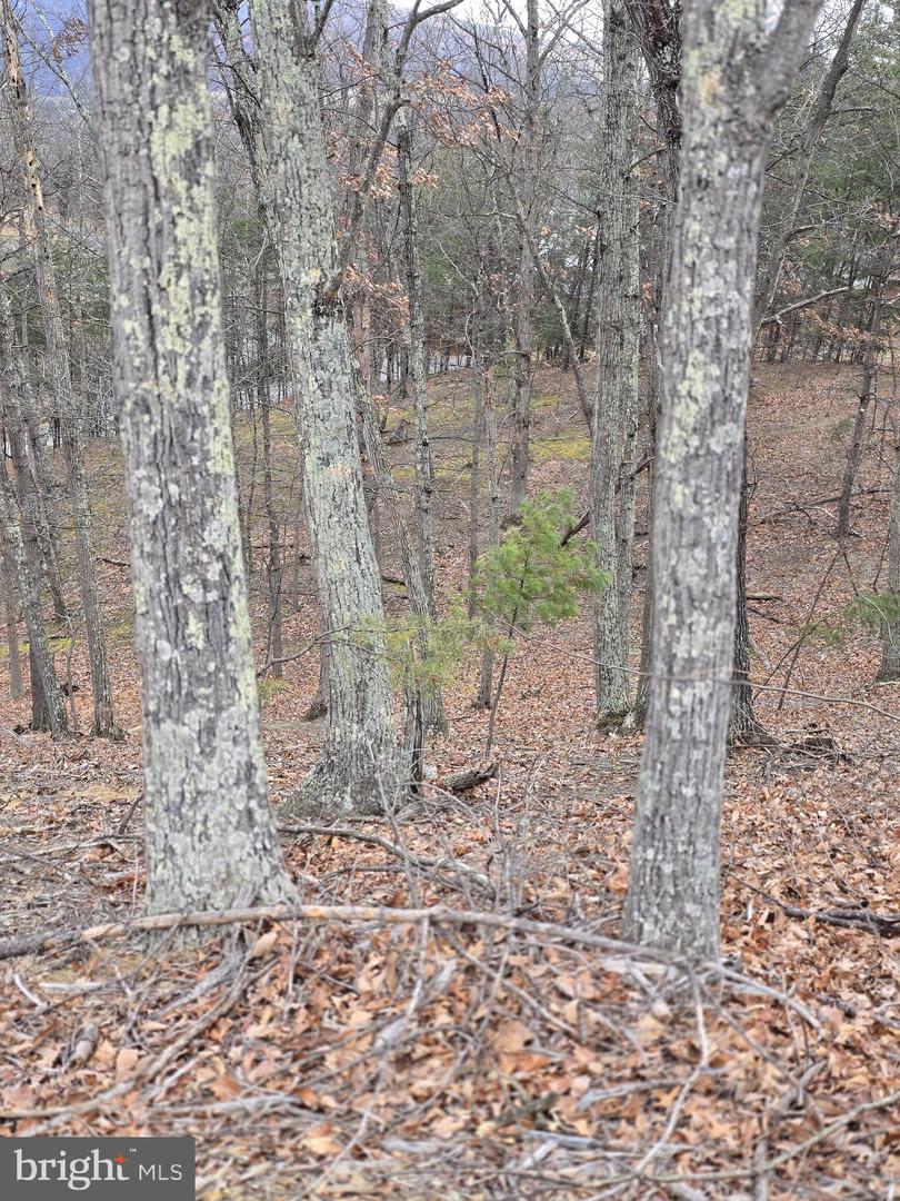 Lot 1 Cornwell Dr Property Photo 4