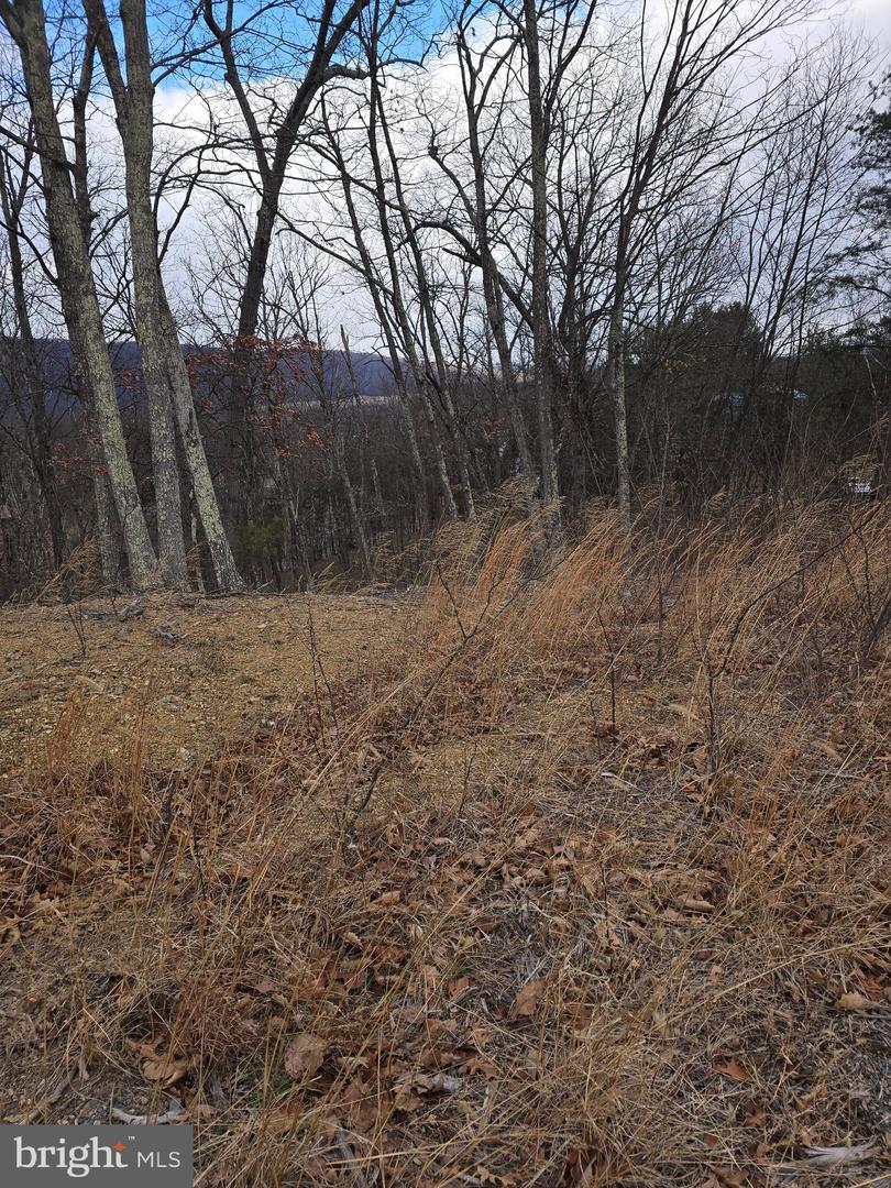 Lot 1 Cornwell Dr Property Photo 5