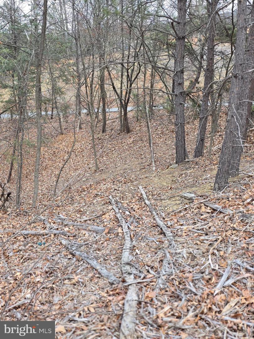 Lot 1 Cornwell Dr Property Photo 7