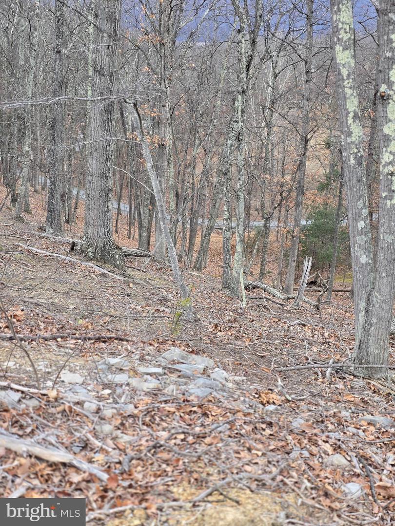 Lot 1 Cornwell Dr Property Photo 8