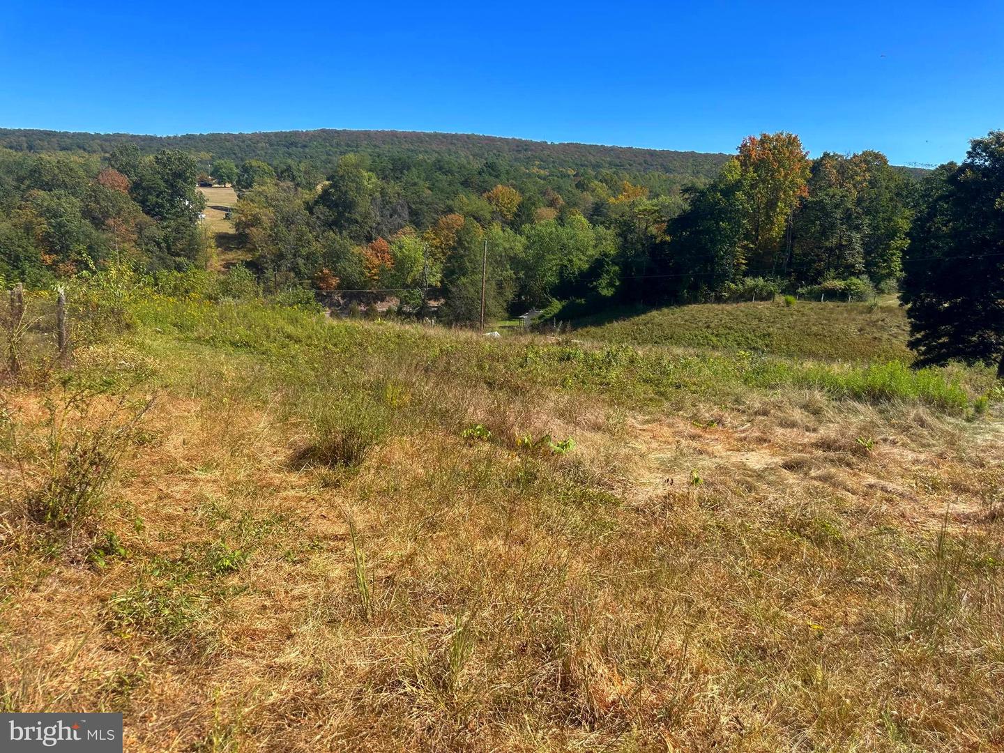 3500 Paw Paw Rd Property Photo 4