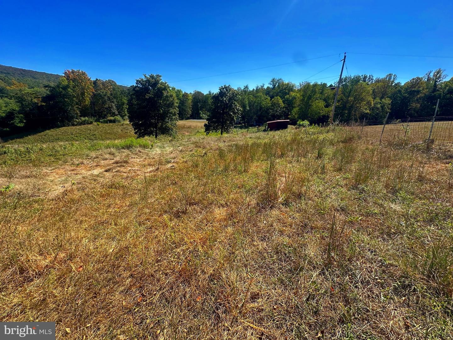 3500 Paw Paw Rd Property Photo 5