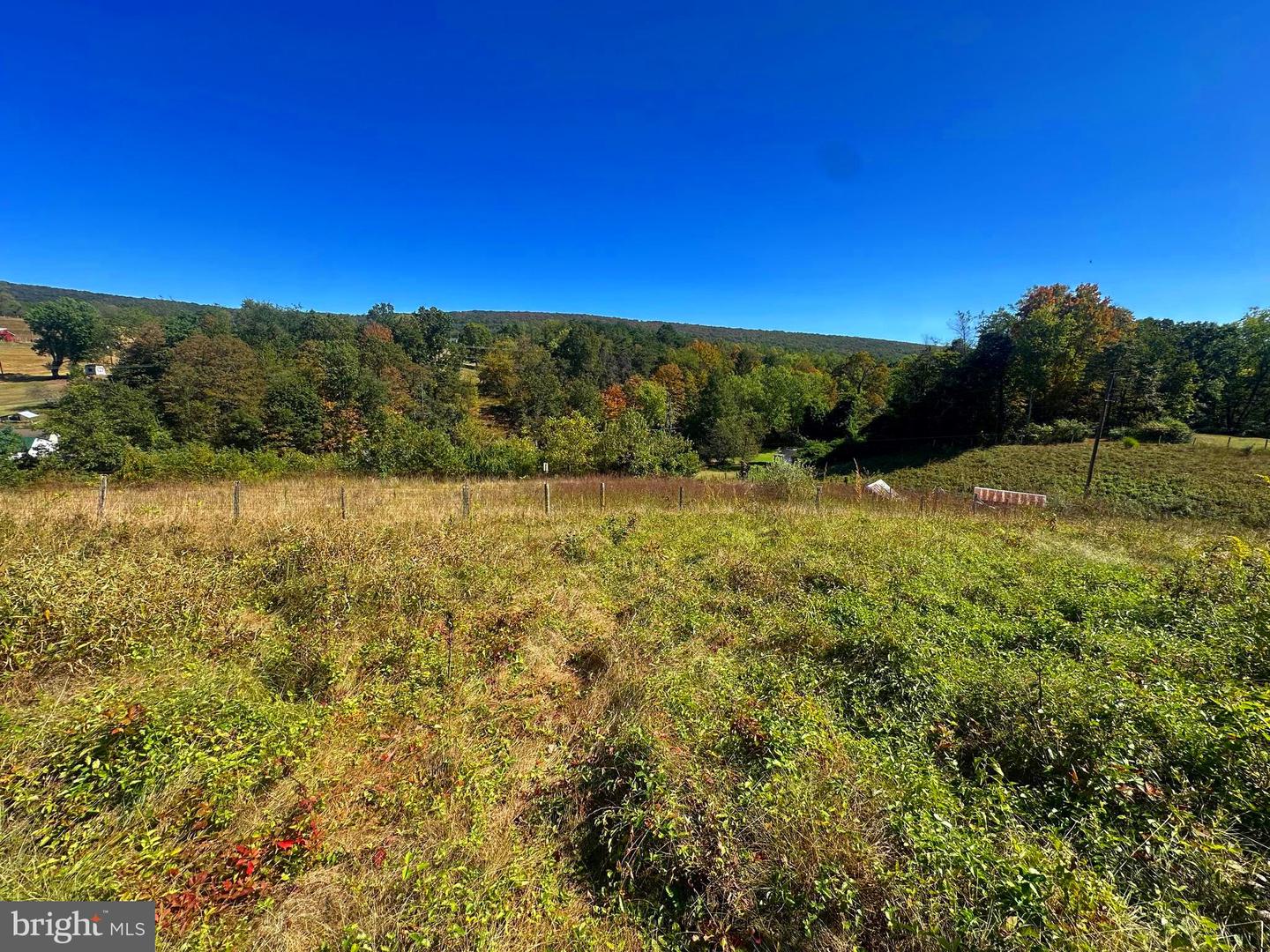 3500 Paw Paw Rd Property Photo 7