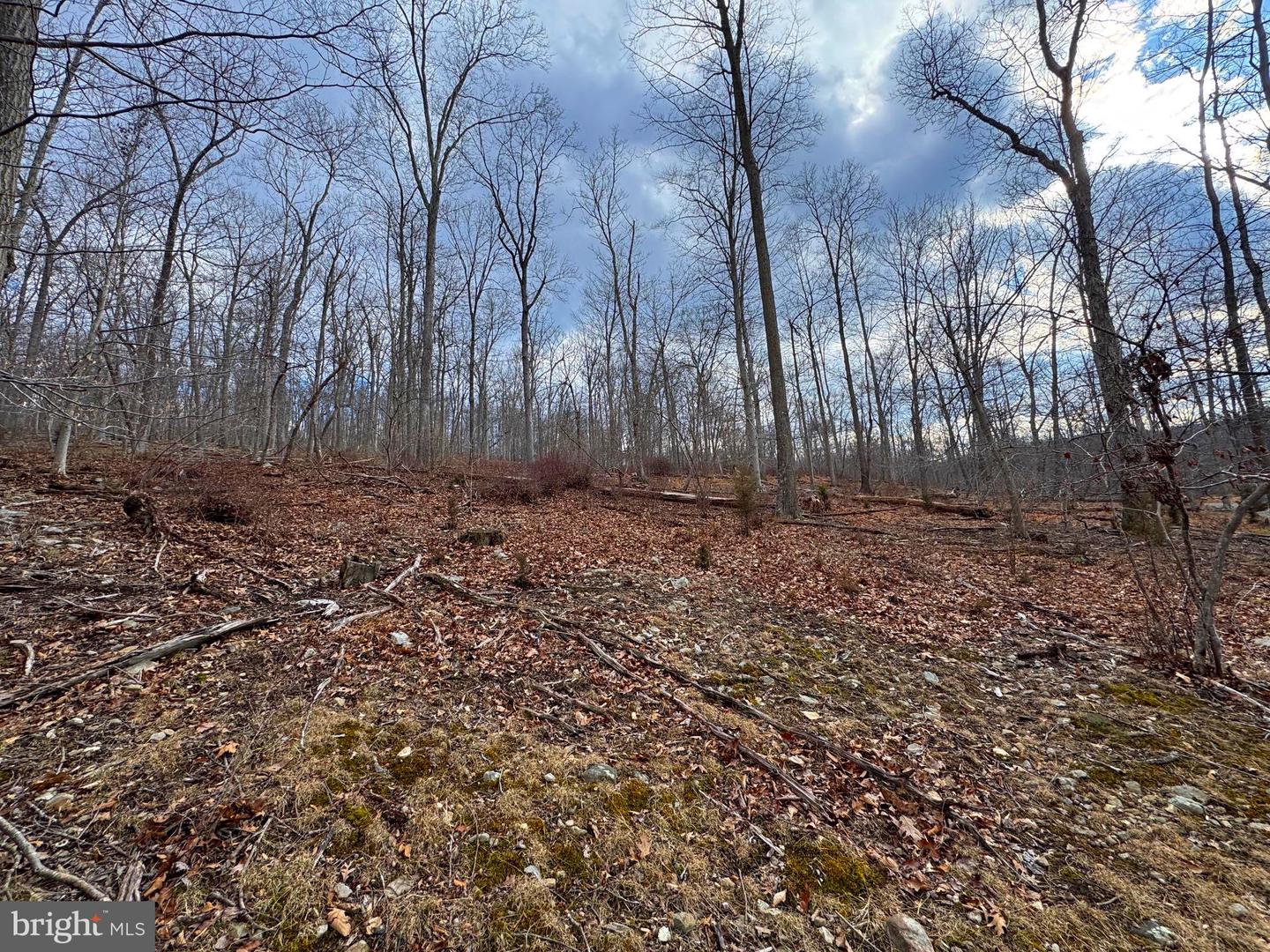 Frog Hollow Road Property Photo 1