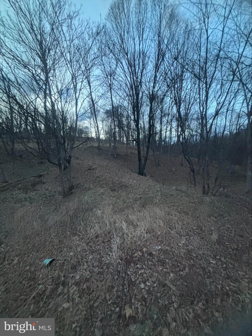 LOST RUN