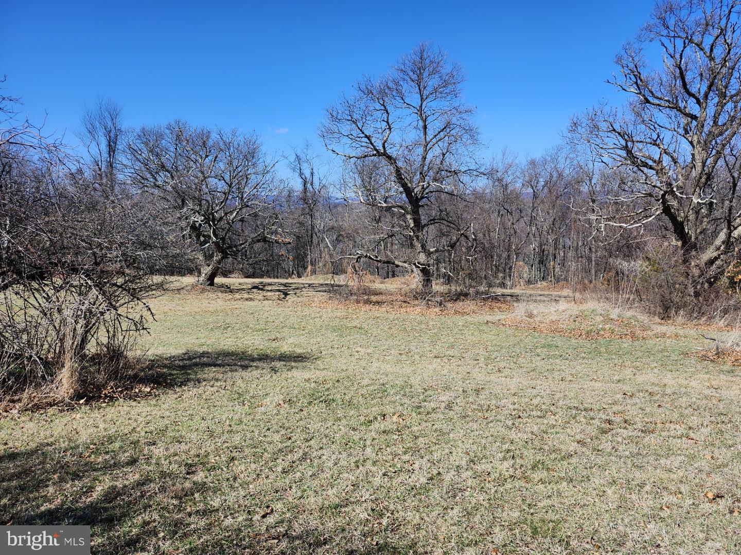 Skyview Dr. / Echo Dr. Property Photo 15