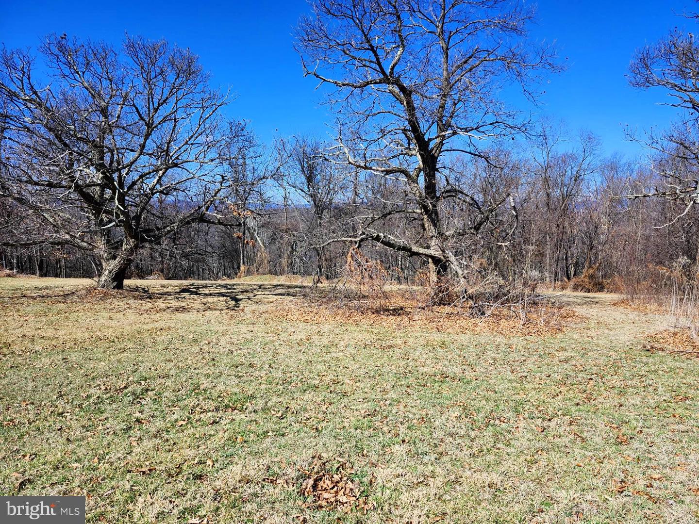 Skyview Dr. / Echo Dr. Property Photo 17