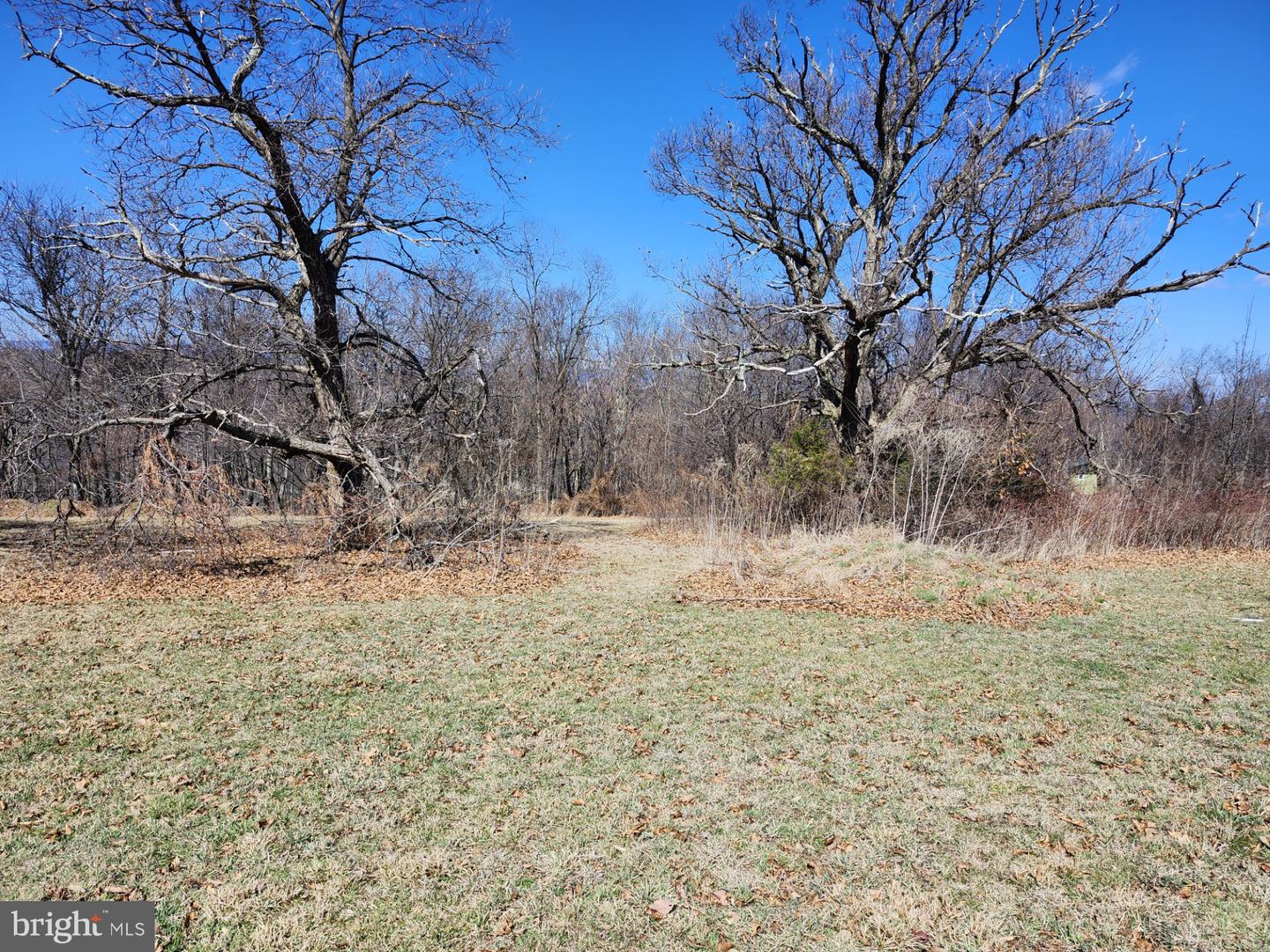 Skyview Dr. / Echo Dr. Property Photo 25