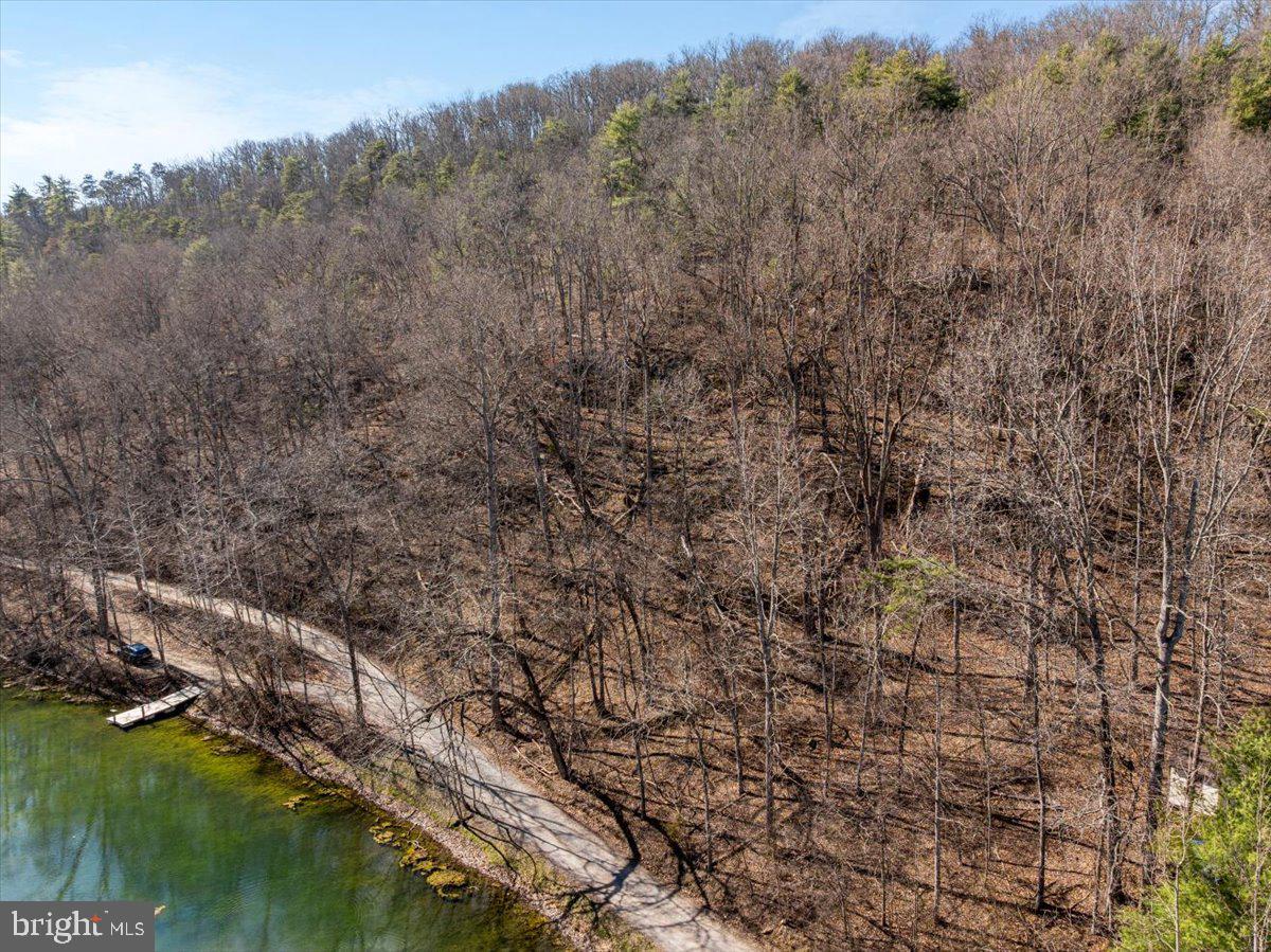 Old Mill Property Photo 2