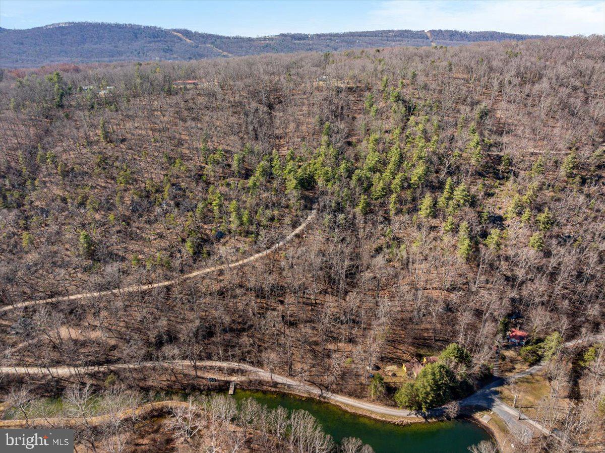 Old Mill Property Photo 4