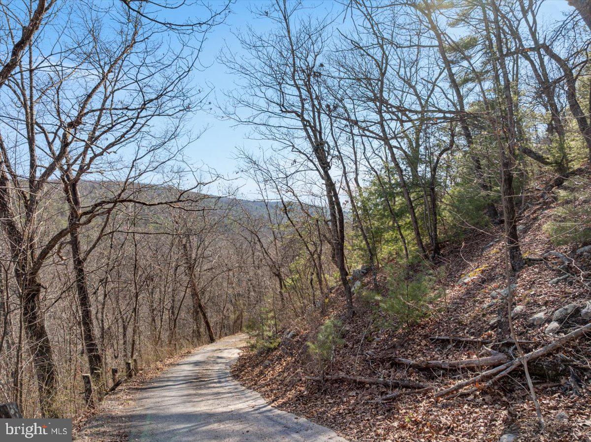 Old Mill Property Photo 8