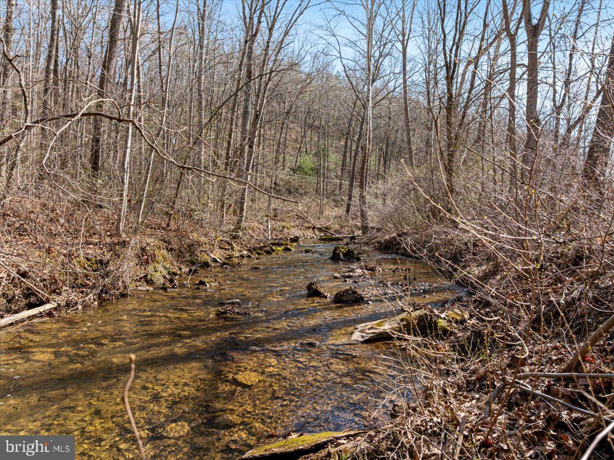 Old Mill Property Photo 9