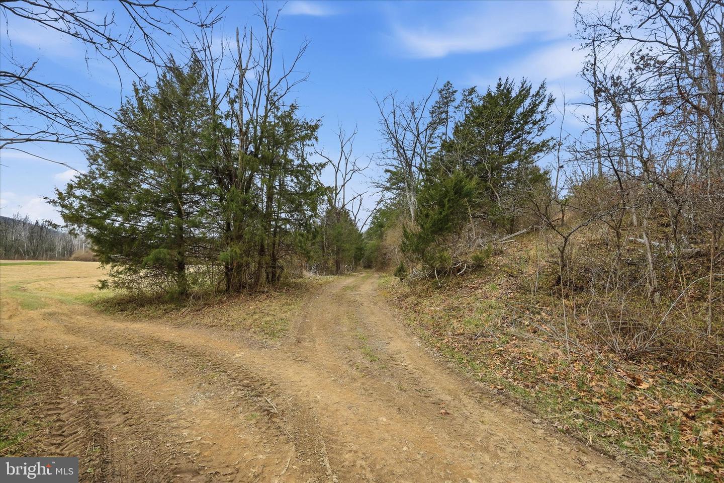 Aa Rogers Property Photo 5
