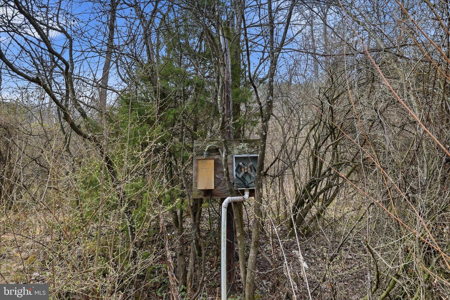 Aa Rogers Property Photo 19