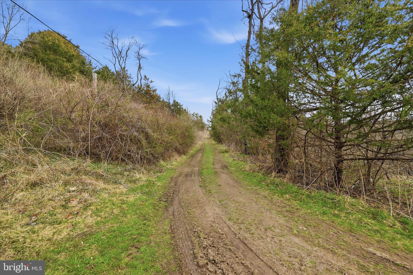Aa Rogers Property Photo 22
