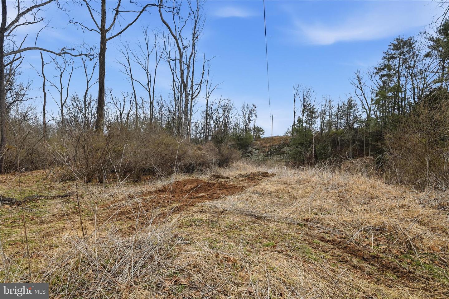 Aa Rogers Property Photo 26