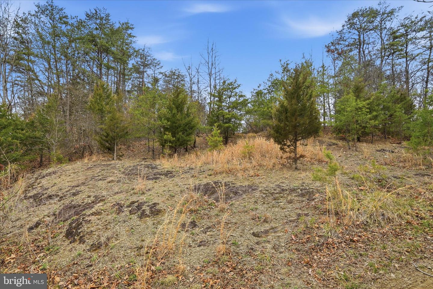 Aa Rogers Property Photo 27