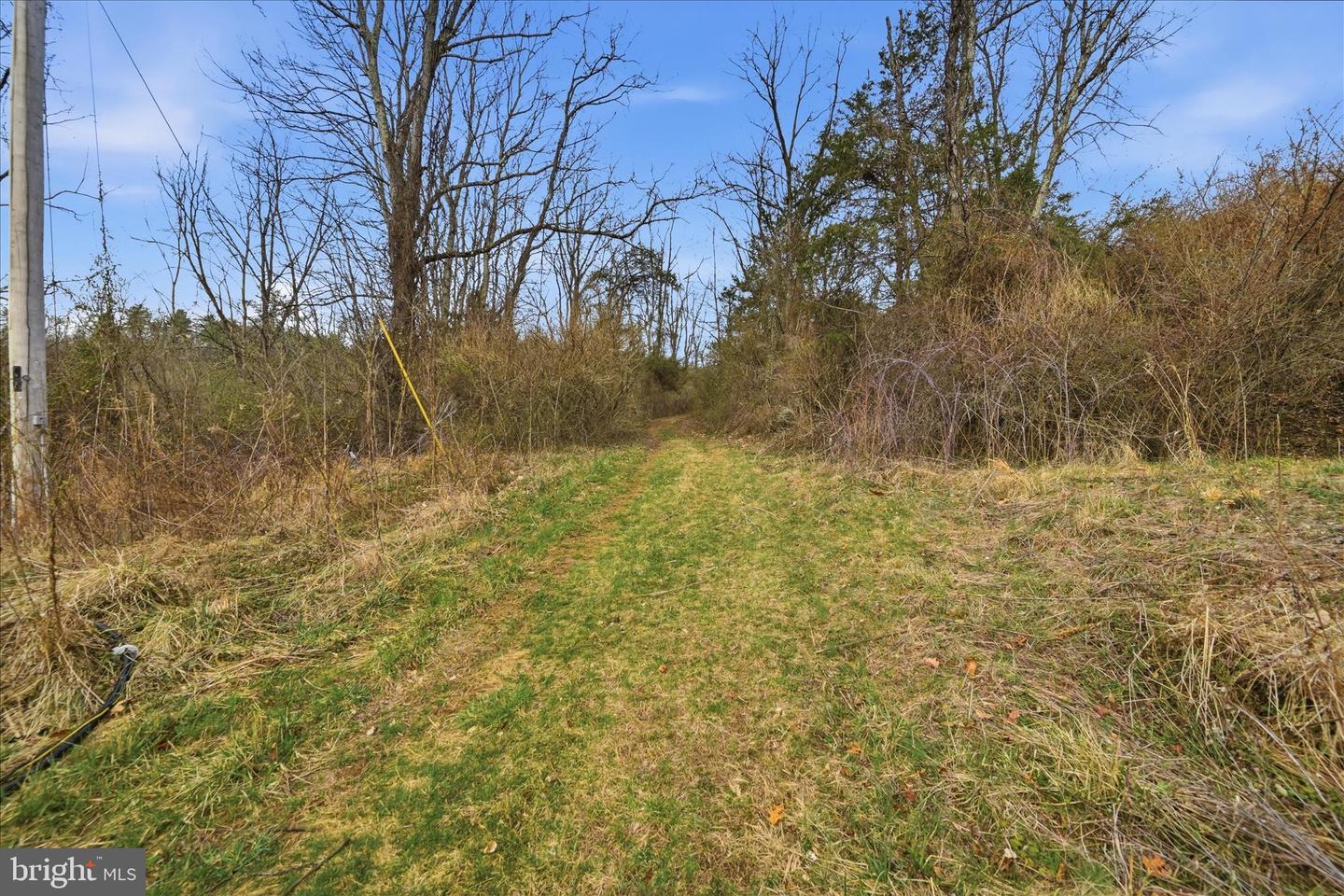 Aa Rogers Property Photo 28