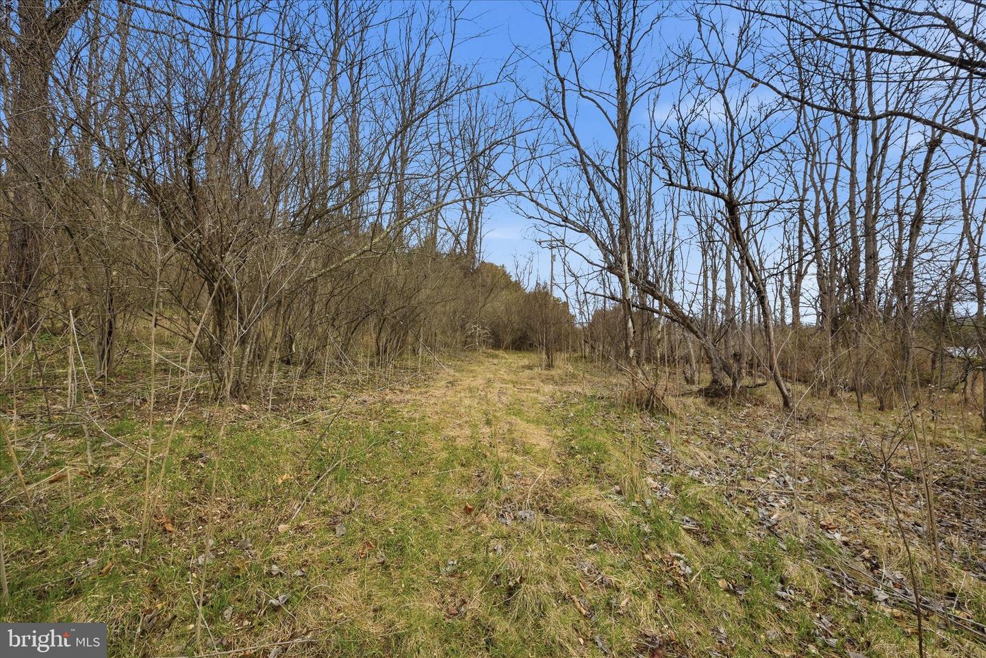 Aa Rogers Property Photo 30