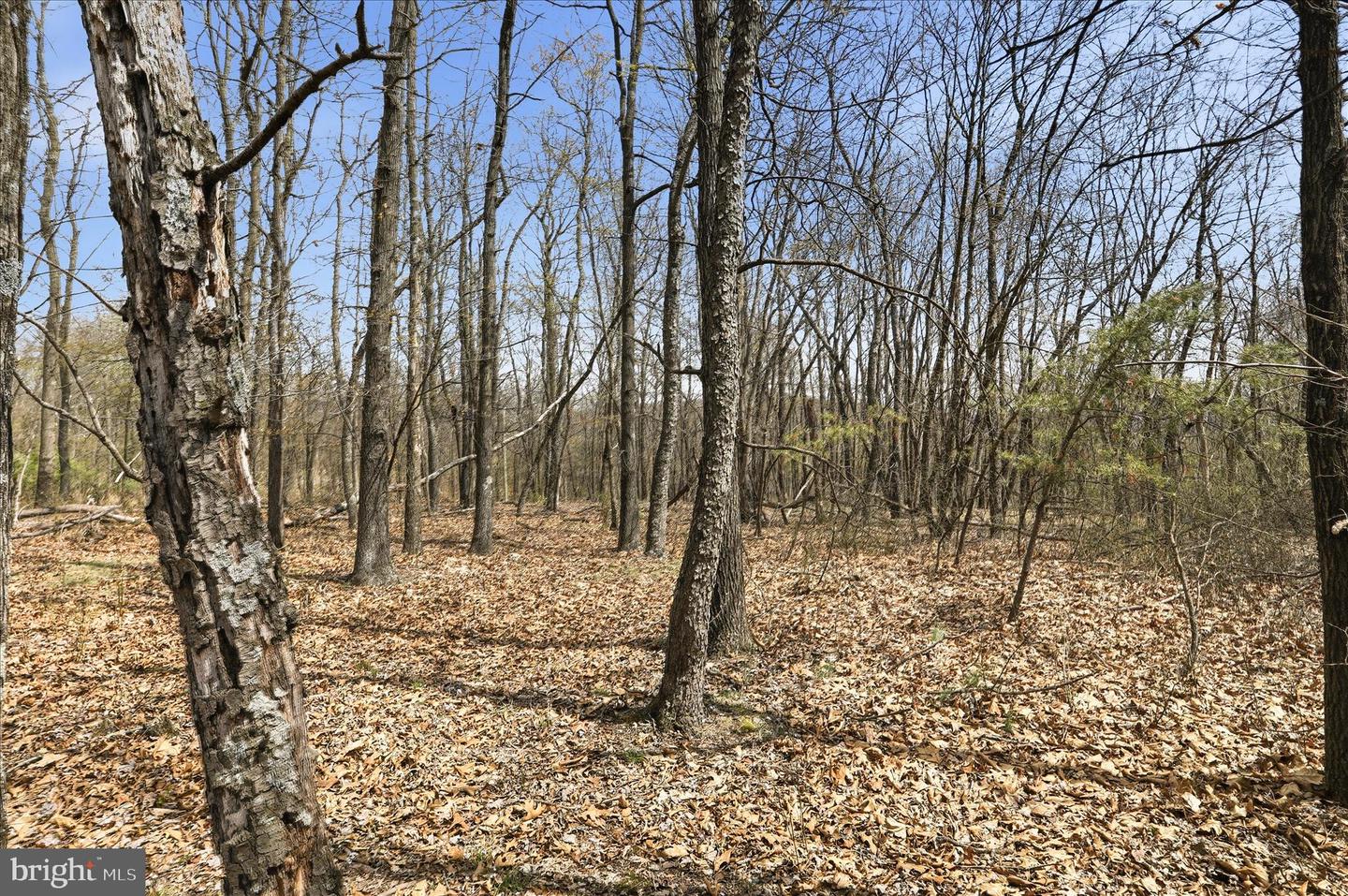 Lot 62 Phase 2 Crest Haven Rd Property Photo 2