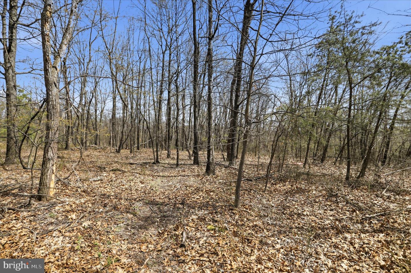Lot 62 Phase 2 Crest Haven Rd Property Photo 4