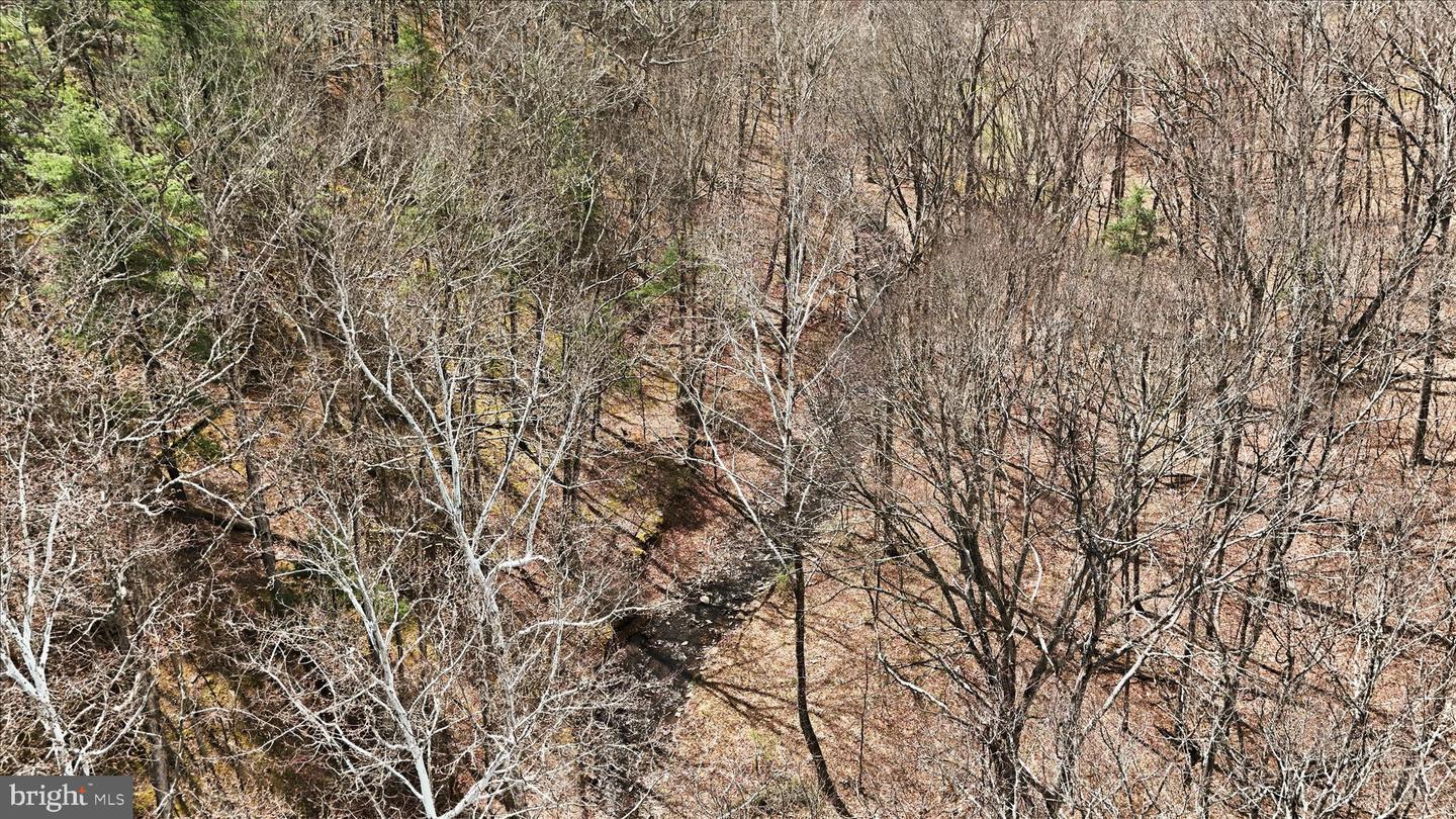 Lot 62 Phase 2 Crest Haven Rd Property Photo 13